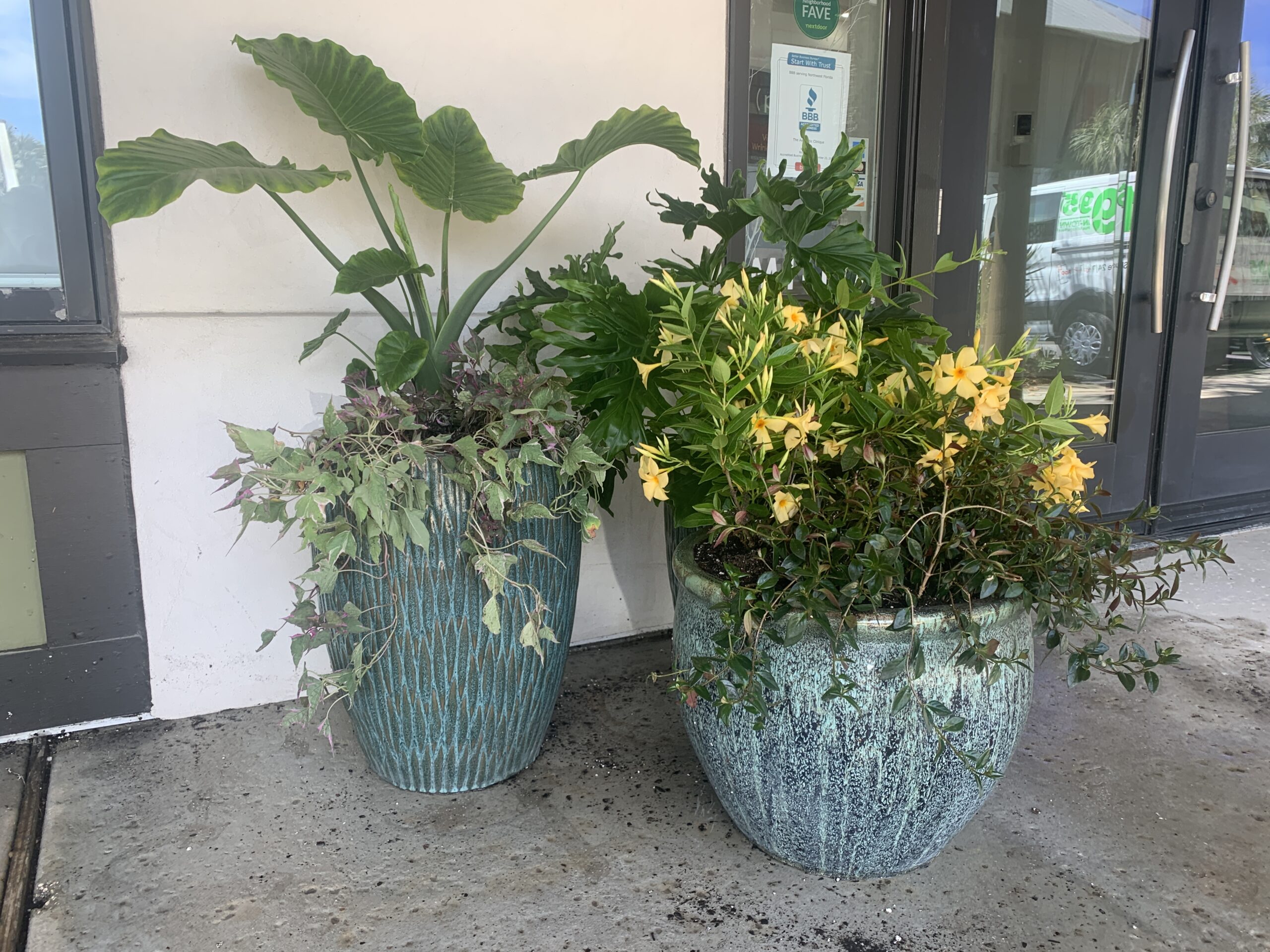 Pots and plants on 30A Pots and Plants on 30A